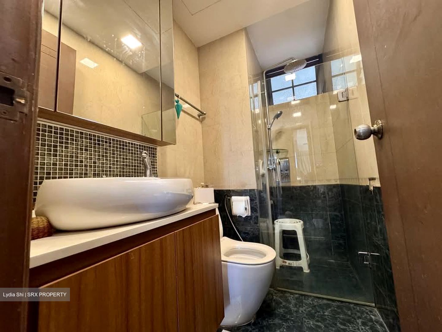 Sanctuary Green (D15), Condominium #628474141